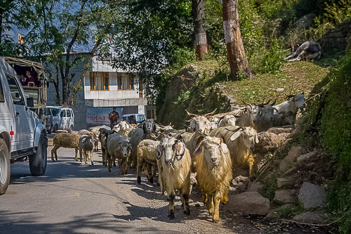 India